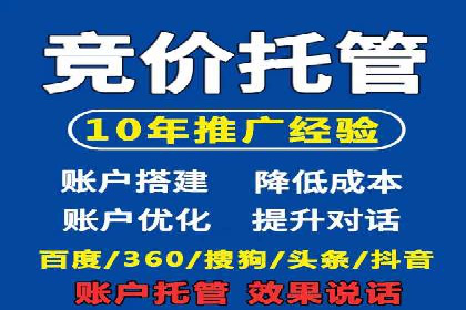 电商平台信息流广告的投放策略与效果评估案例